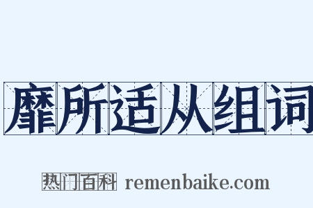 靡所适从组词是什么意思的图片